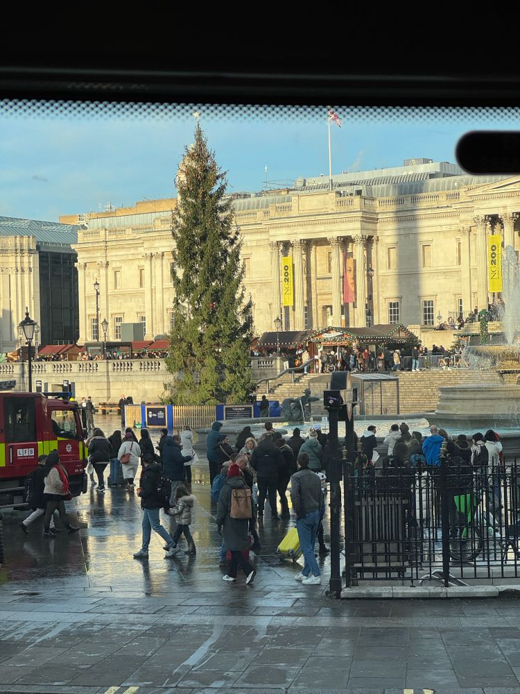 The Christmas tree in Trafalgar Square (the National Gallery in the background), with a small crowd of people that includes police and emergency responders, all looking up at a tiny red smudge in the tree that is a person in a Santa suit. 