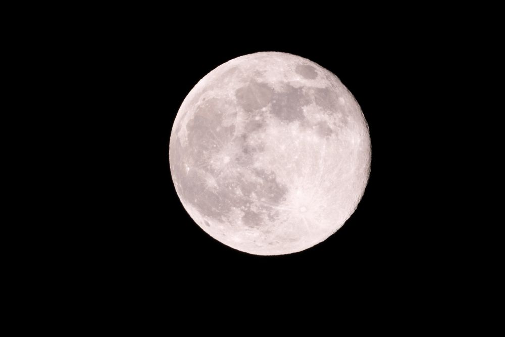 Photo of the supermoon with a slightly blushy yellow tint because why not
