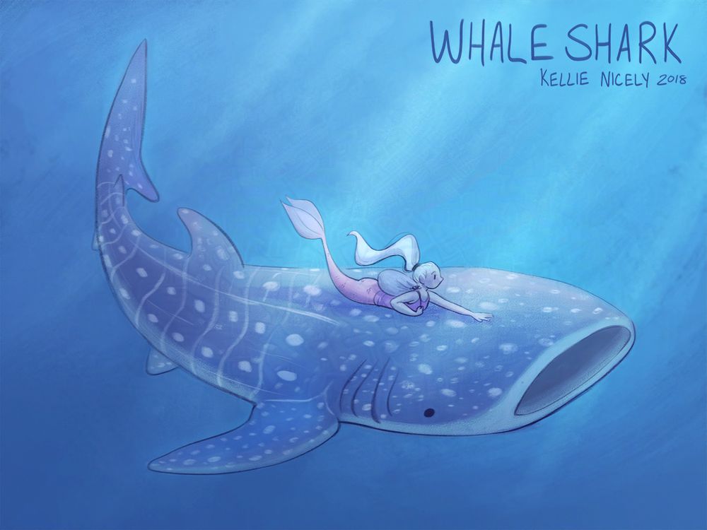 illustration of a mermaid swimming with a whale shark with its mouth open. because the whale shark is so large the mermaid is quite small but because I still wanted the mermaid to show, it's slightly disproportionate and or the whale shark is slightly baby