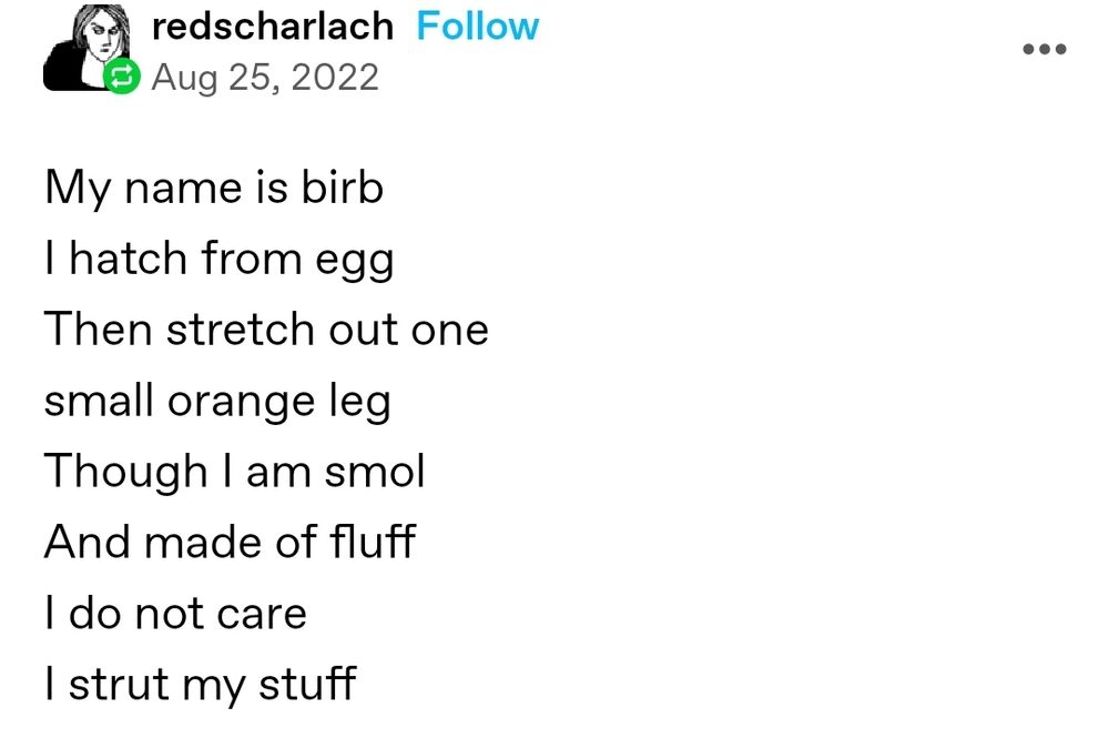 A Tumblr screencap that reads:
My name is birb/ I hatch from egg/ Then stretch out one/ small orange leg/ Though I am smol/ And made of fluff/ I do not care/ I strut my stuff