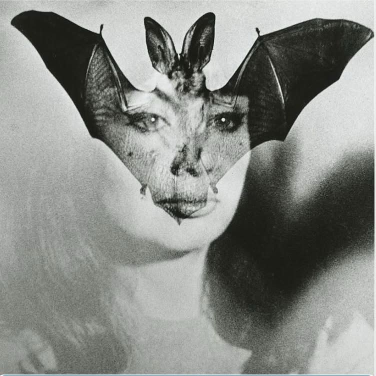 LE VAMPIRE photo by Pablo Volta - 1962. Double exposure - woman’s face with a bat 🦇 