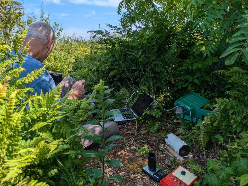 Kenyon College Emeritus Professor Bob Mauck runs field validation tests on an automated weigh scale.