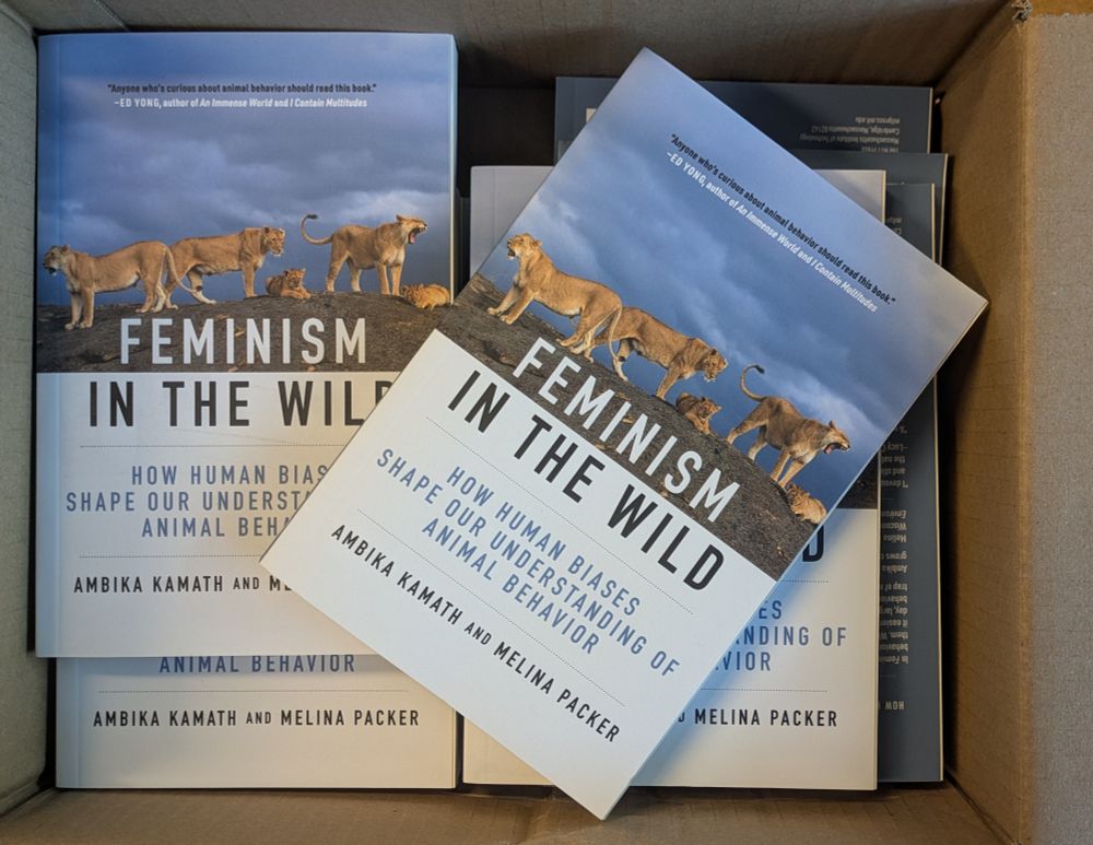Feminism in the Wild, by Ambika Kamath and Melina Packer