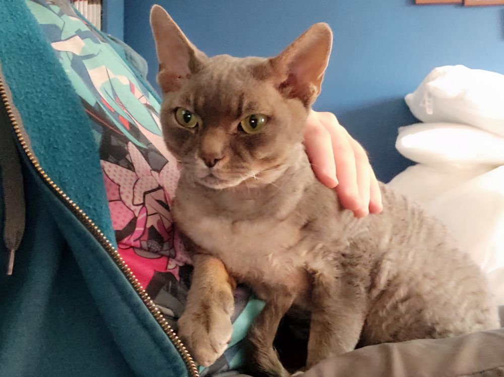 Laszlo