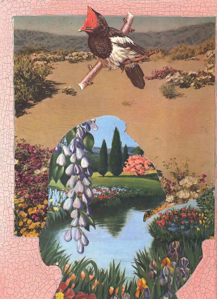 Comment image