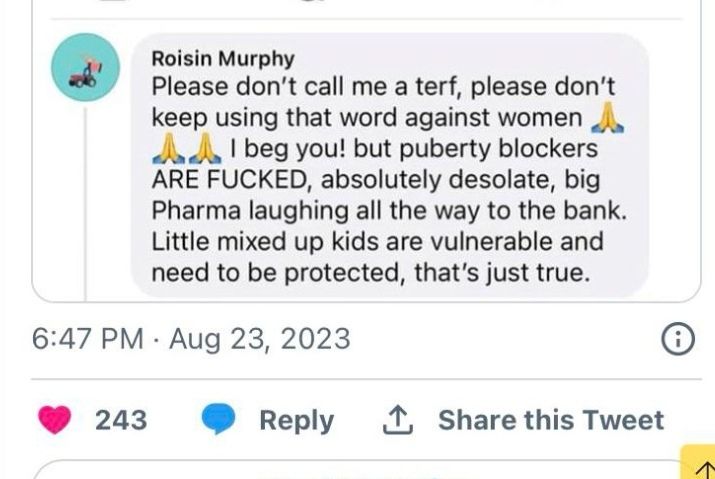 Screenshot of a Facebook post. Roisin murphy. "please dont call me a terf, please dont keep using that word against women. I beg you! Puberty blockers ARE FUCKED, absolutely desolate, bit pharma laughing all the way to the bank. Little mixed up kids are vulnerable and need to be protected, thats just true "