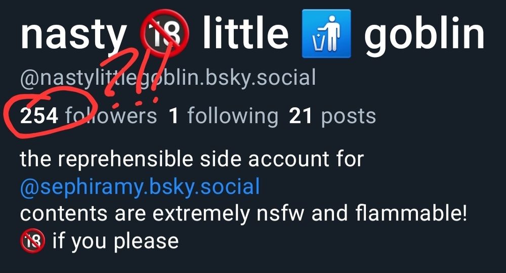 a screencap of this account showing it has now reached 254 followers. the number is circled and marked with a ?!!