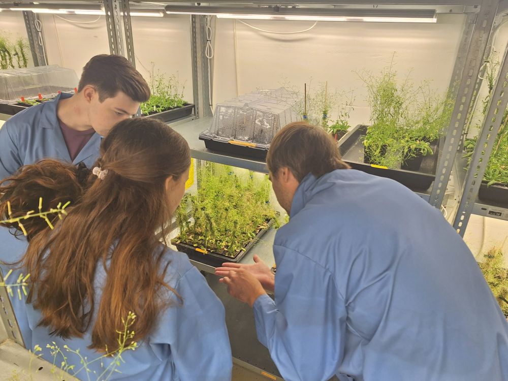Group of people in a plant growth facility