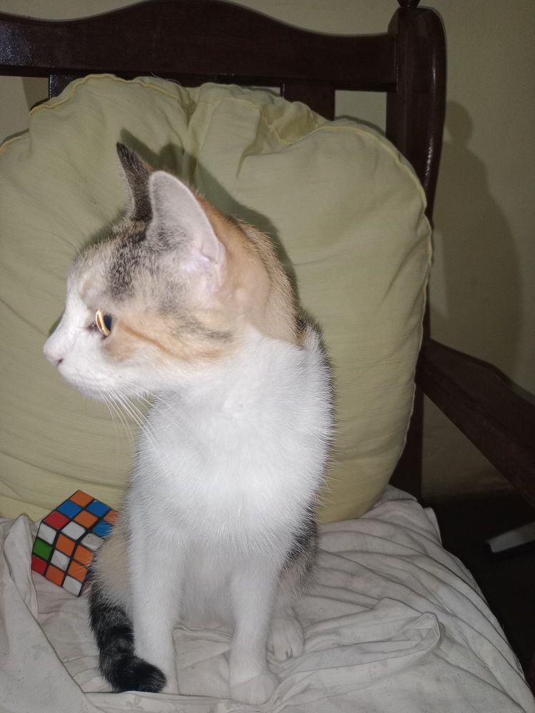 Hanako ❤️‍🩹