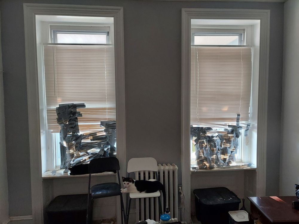 Destroyed window blinds and the cats (unrepentant recidivists) who destroyed them. 