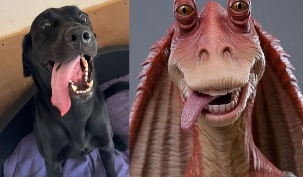 Digby doo the black Labrador on left with tongue out - jar jar Binks on right, also with tongue out