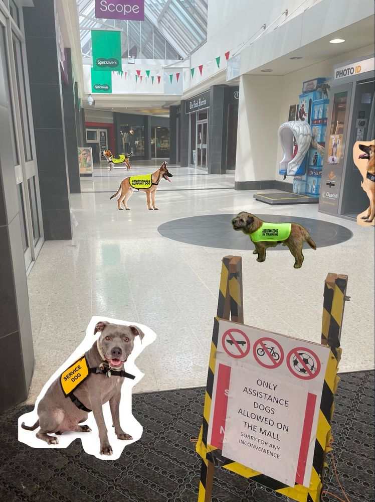 Bangor shopping precinct with a sign ‘only assistance dogs allowed in the mall’ (with photoshopped assistance dogs on their own