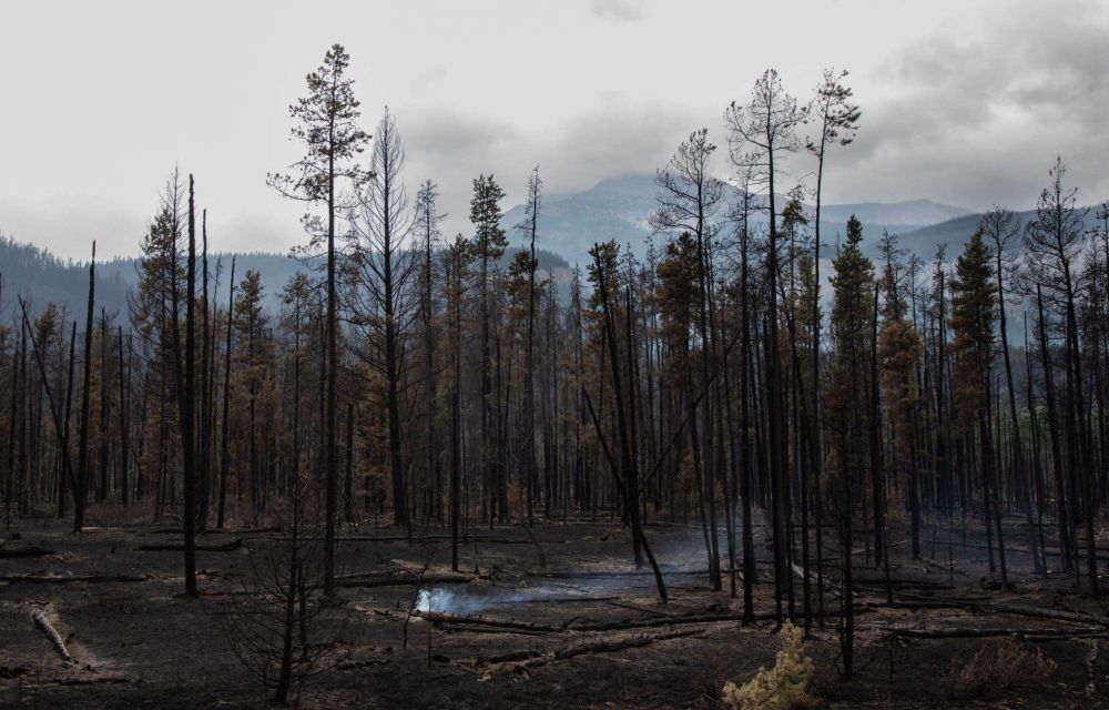 Un pompier de 24 ans meurt en combattant un feu de forêt au nord de…