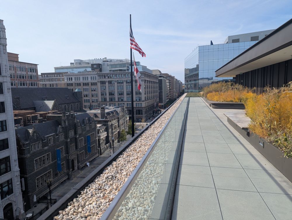 Photo of one side of the rooftop and view from the MLK library in DC.