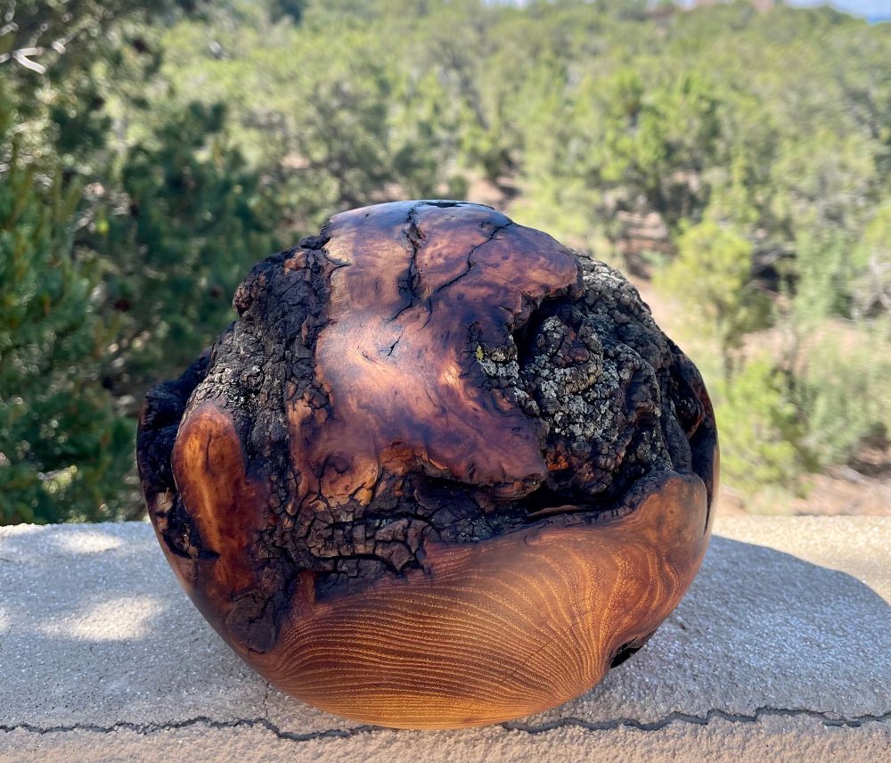 Osage Orange, Maclura pomifera, is a beautiful wood from the southern Midwest! The heartwood is golden to bright yellow, which usually ages to a darker medium brown with time, primarily due to exposure to UV light. Osage Orange is extremely durable and is considered to be one of the mo