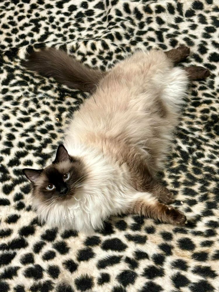 My pretty girl Romy doing her boudoir photoshoot. 