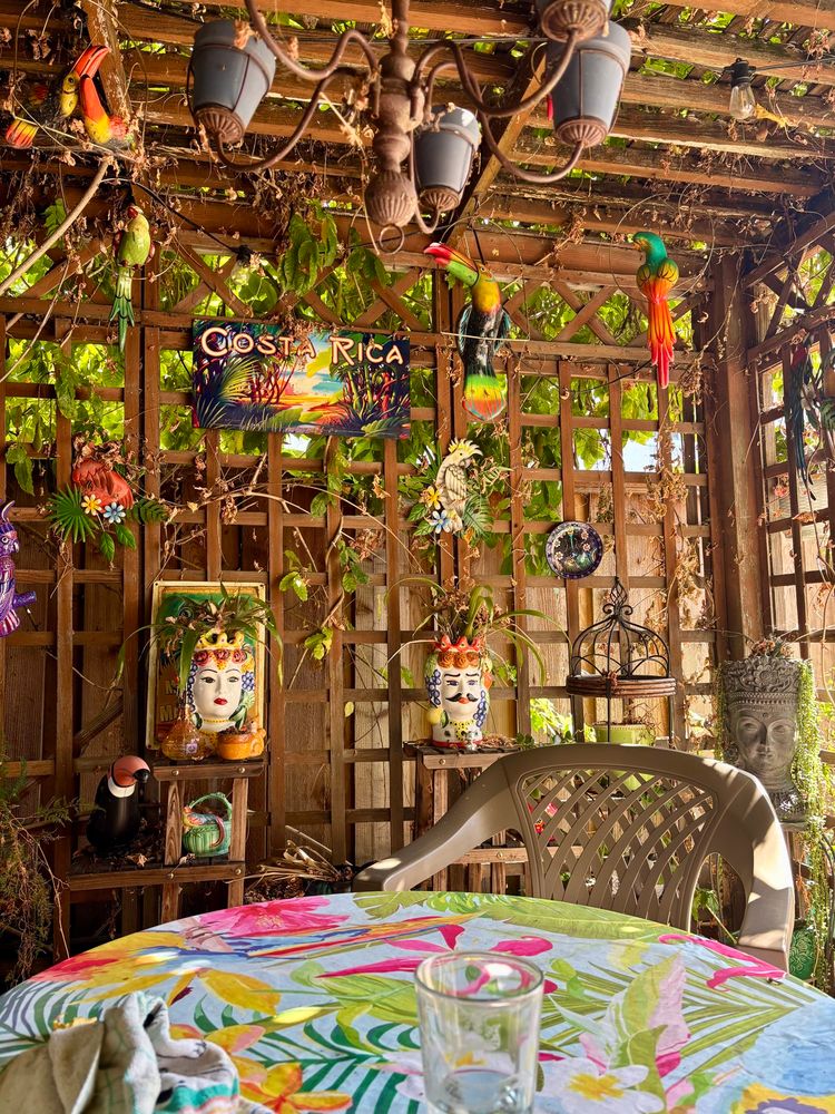 View under the pergola with a colorful tropical tablecloth and potted plants
