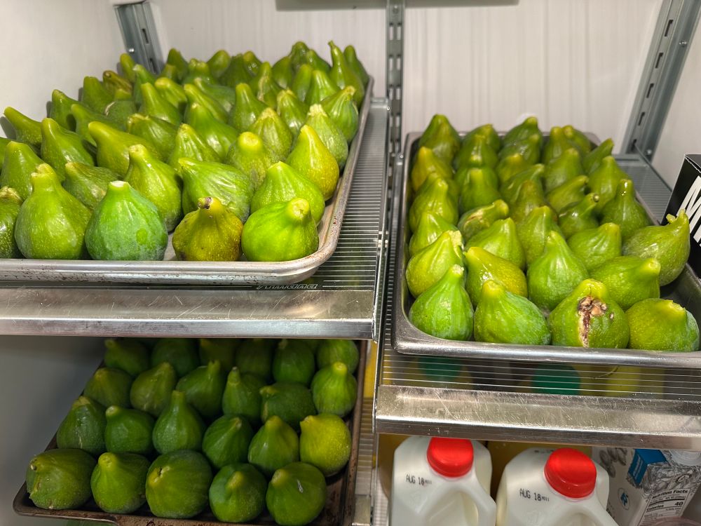Figs on trays in the fridge