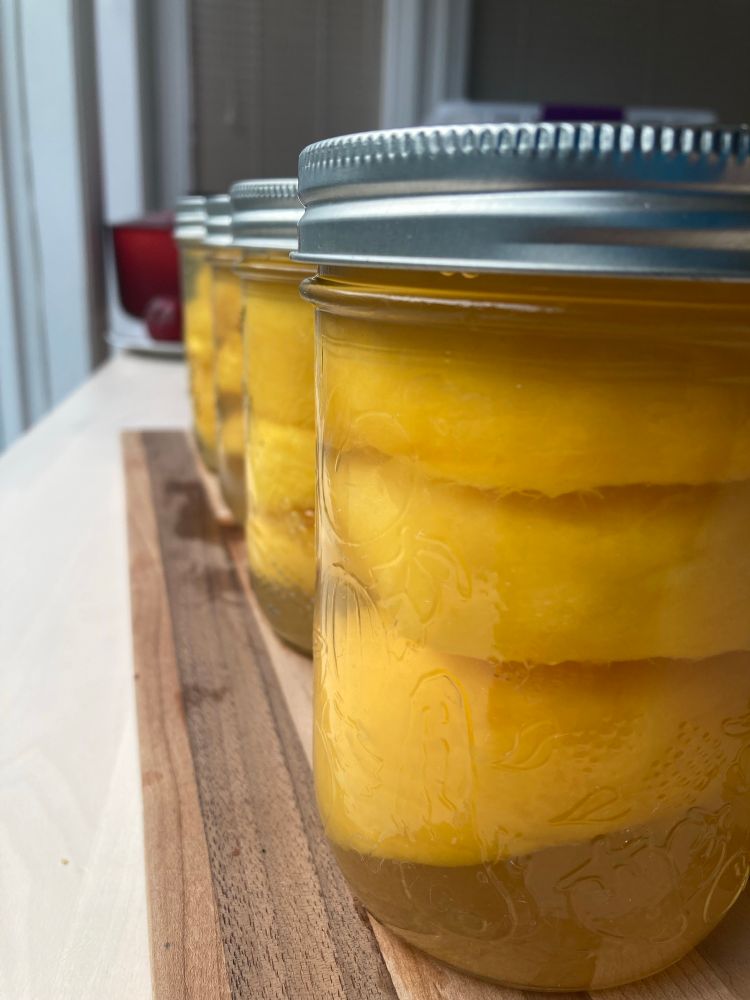 Canned peaches lined up on a wooden cutting board