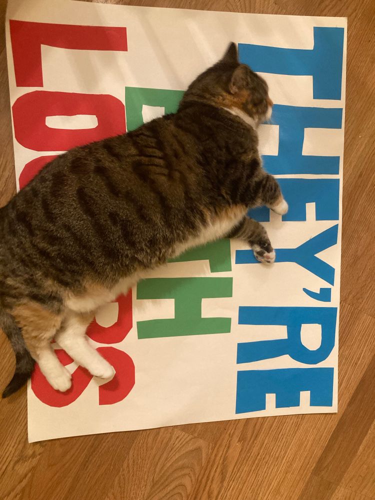 Cat laying on sign