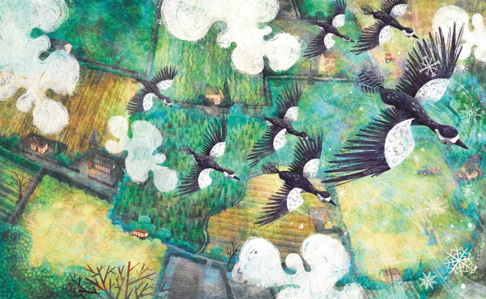 An illustration of black and white barnacle geese flying over green fields and village buildings towards much more blustery weather.