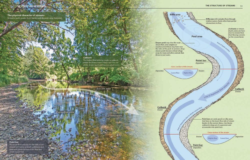 A photo-diagram illustrating how typical streams both erode stream banks and build new structures as the stream flows through a riparian landscape.