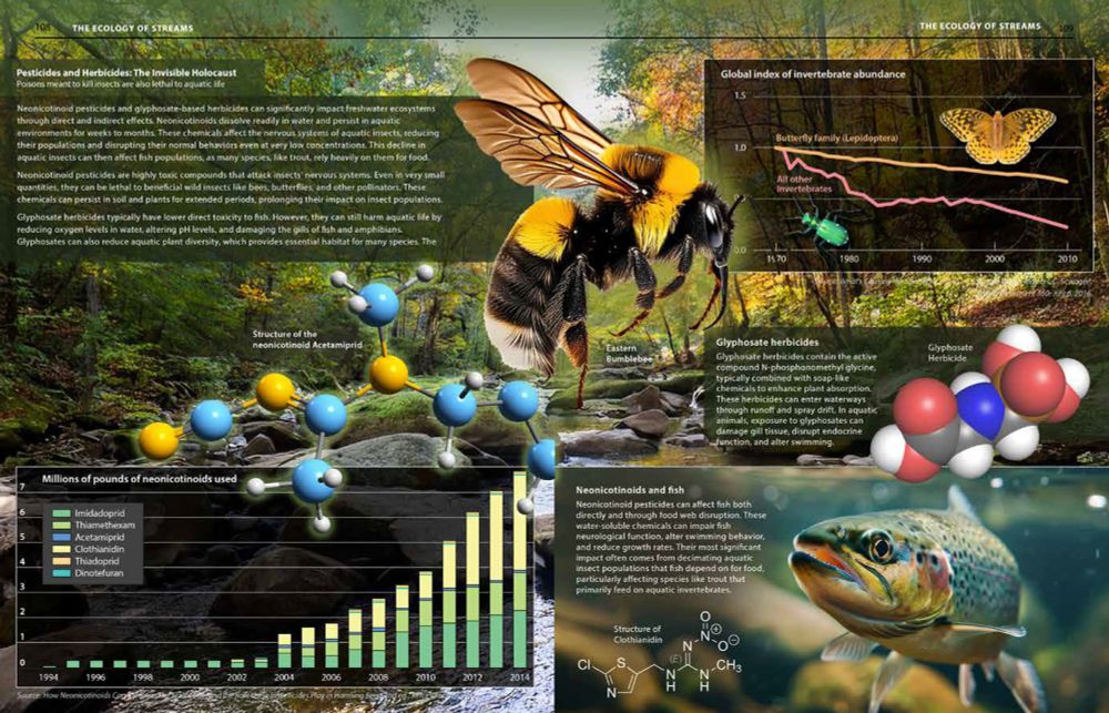 Complex diagram and illustrations on the effects of neonicotinoid insecticides and glyphosate herbicides in freshwater systems, with data charts on usage, molecular structures, and insect mortality.