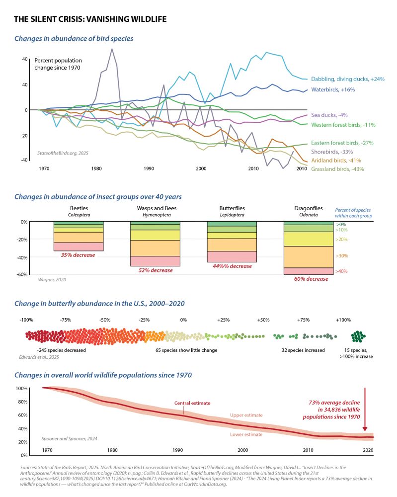 Various data graphics showing the dramatic decline in wildlife and insect populations over the last 40 years.