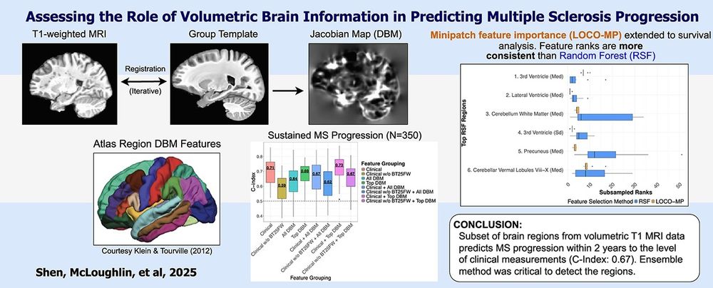 Assessing the role of volumetric brain information in multiple sclerosis progression. Computational and Structural Biotechnology Journal, DOI: https://doi.org/10.1016/j.csbj.2025.05.003