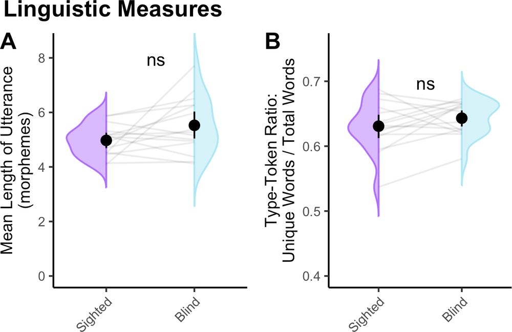 Two violin plots depicting the linguistic properties of language input to blind and sighted children. The mean length of utterances to blind children range from roughly 4-7 morphemes, compared to 4-6 morphemes per utterance in input to sighted children. This did not differ across groups. Type-token ratio, unique words per word, ranged from 0.55 to 0.7 and also did not differ across groups. 