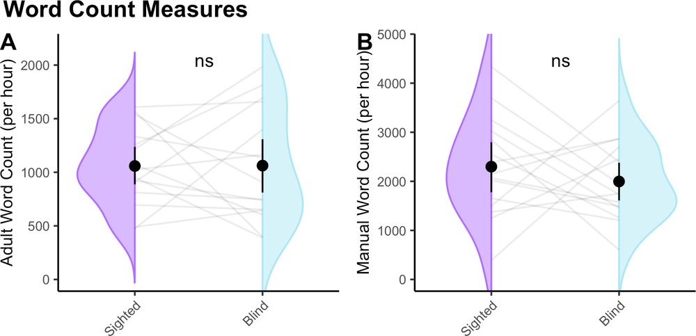 A two-panel figure labeled Word Count Measures comparing adult speech to sighted and blind children.

Panel A: A paired violin plot showing Adult Word Count (per hour) for sighted (left, purple) and blind (right, light blue) groups. Data points are connected with light gray lines showing individual differences. The distributions are similar; both center around ~1000 words/hour. A black dot and error bar represent the mean and confidence interval for each group. “ns” (not significant) indicates no statistical difference between groups.

Panel B: Similar paired violin plot for Manual Word Count (per hour). Sighted group (purple) and blind group (light blue) distributions both center around ~2200–2500 words/hour, with substantial individual variability. Again, means are marked with black dots and “ns” indicates no significant group difference.