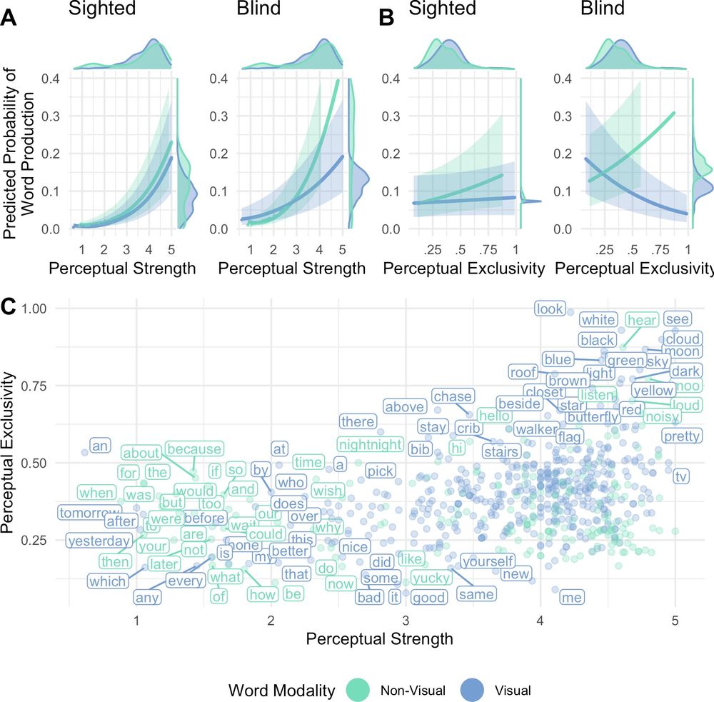 A multi-panel figure (A, B, C) showing the relationship between perceptual ratings and word production in sighted and blind children.

Panel A: Two line graphs titled Predicted Probability of Word Production vs. Perceptual Strength. Left graph: Sighted children; right graph: Blind children. Both graphs show predicted word production probability increasing with perceptual strength (x-axis range 1–5). For sighted children, the increase is steeper for visual words. Density plots around the scatterplot indicate distributions of word ratings.

Panel B: Two line graphs titled Predicted Probability of Word Production vs. Perceptual Exclusivity. Left graph: Sighted children; right graph: Blind children. For blind children, visual words that are exclusively visual show a sharp drop-off in likelihood of production with increasing modality exclusivity. Density plots again show distributions.

Panel C: A scatterplot showing individual words plotted by Perceptual Strength (x-axis, 1–5) and Perceptual Exclusivity (y-axis, 0–1). Words are colored by modality: green for non-visual words, blue for visual words. Words like "blue," "cloud," "see," "hear," "white," and "black" cluster at high strength and exclusivity (top right), while function words like "about," "because," and "how" cluster at low values (bottom left).