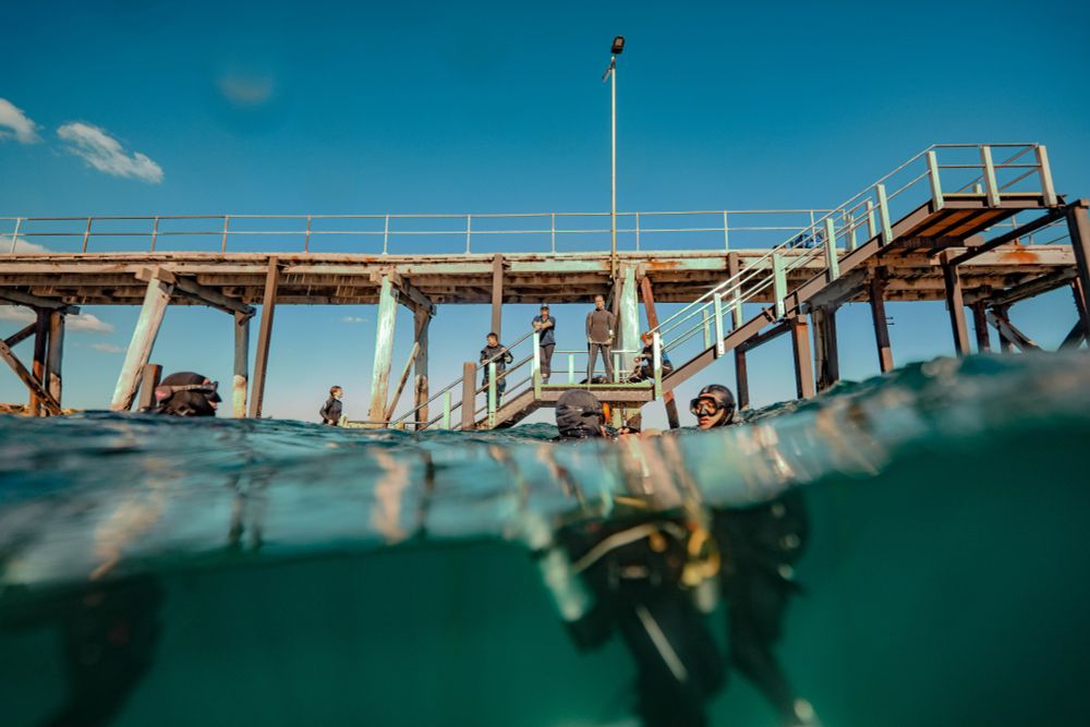 over/under photo of student divers in the water, in front of a jetty