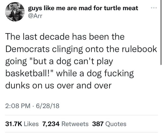 The last decade has been the Democrats clinging onto the rulebook going "but a dog can't play basketball!" while a dog fucking dunks on us over and over