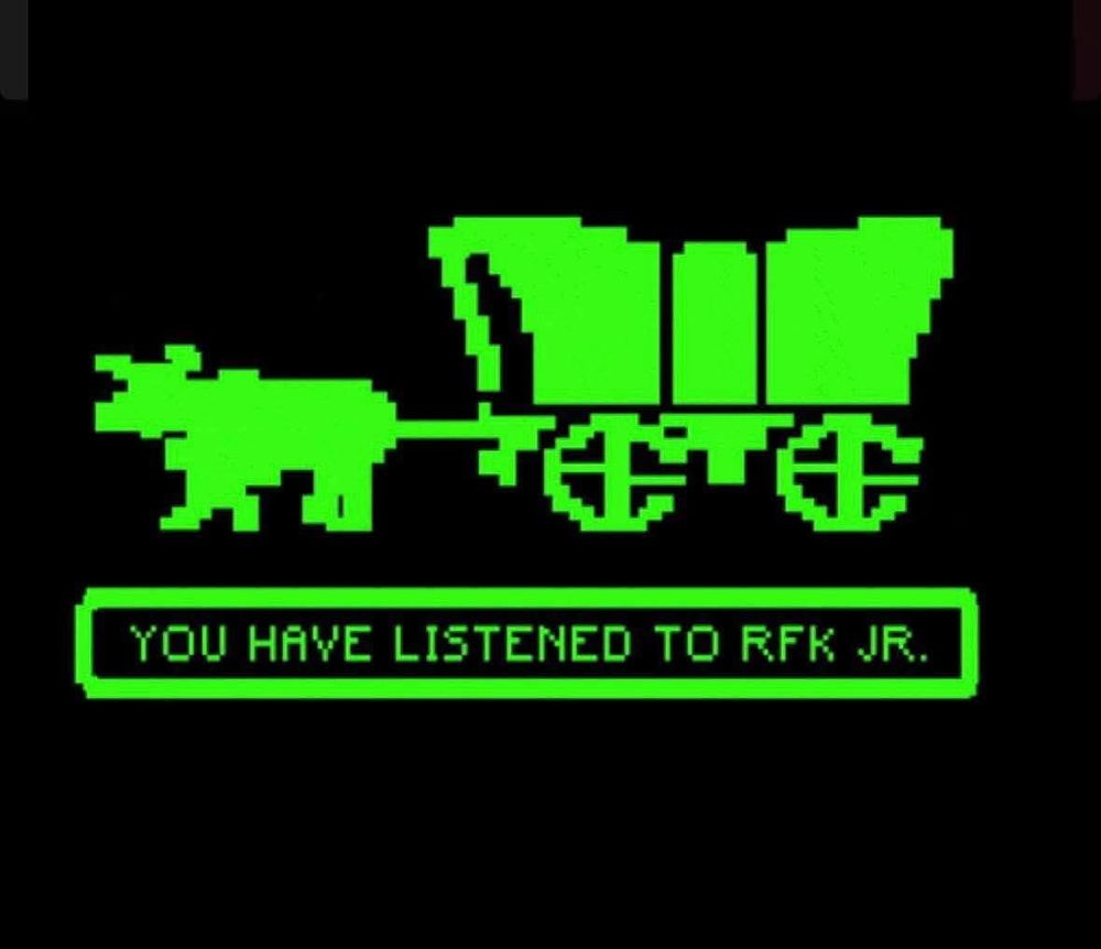 Picture from “The Oregon Trail” with caption “you have listened to RFK JR.”