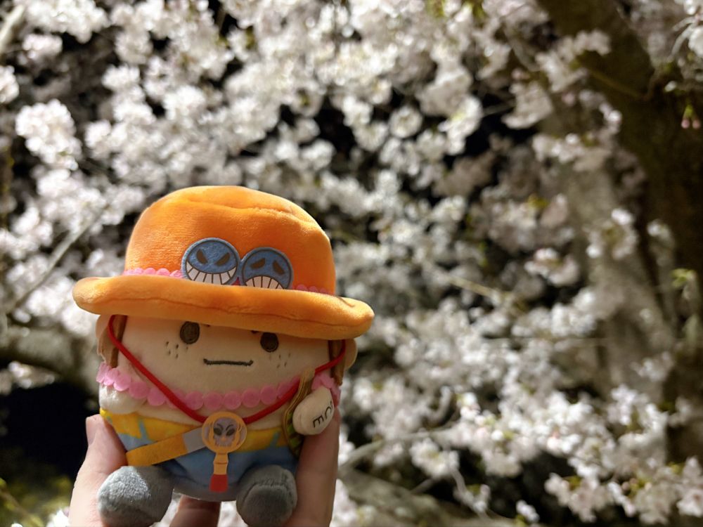 桜と麦たまのエース