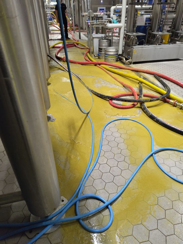 A lot of hops on the floor, much to clean up