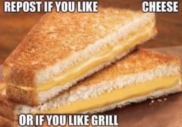 image of a grilled cheese captioned "REPOST IF YOU LIKE CHEESE. OR IF YOU LIKE GRILL"