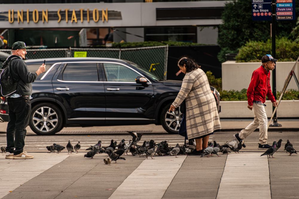 Man photographing a woman feeding a flock if street pigeons with oblivious red shirt man behind. Union Station entrance in the background. Chicago, IL