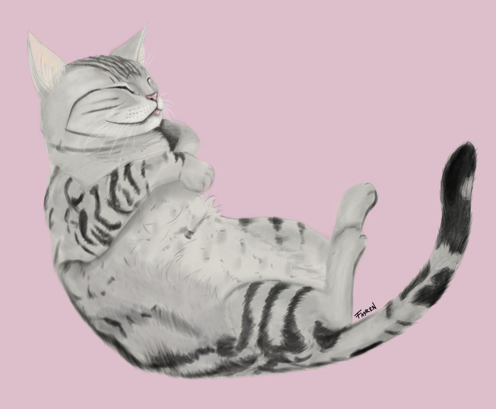 A digital drawing of a silver tabby cat with solid markings. She's laying on her back with her belly visible and closed eyes (presumably sleeping). A little bit of a tongue is sticking out of her mouth.