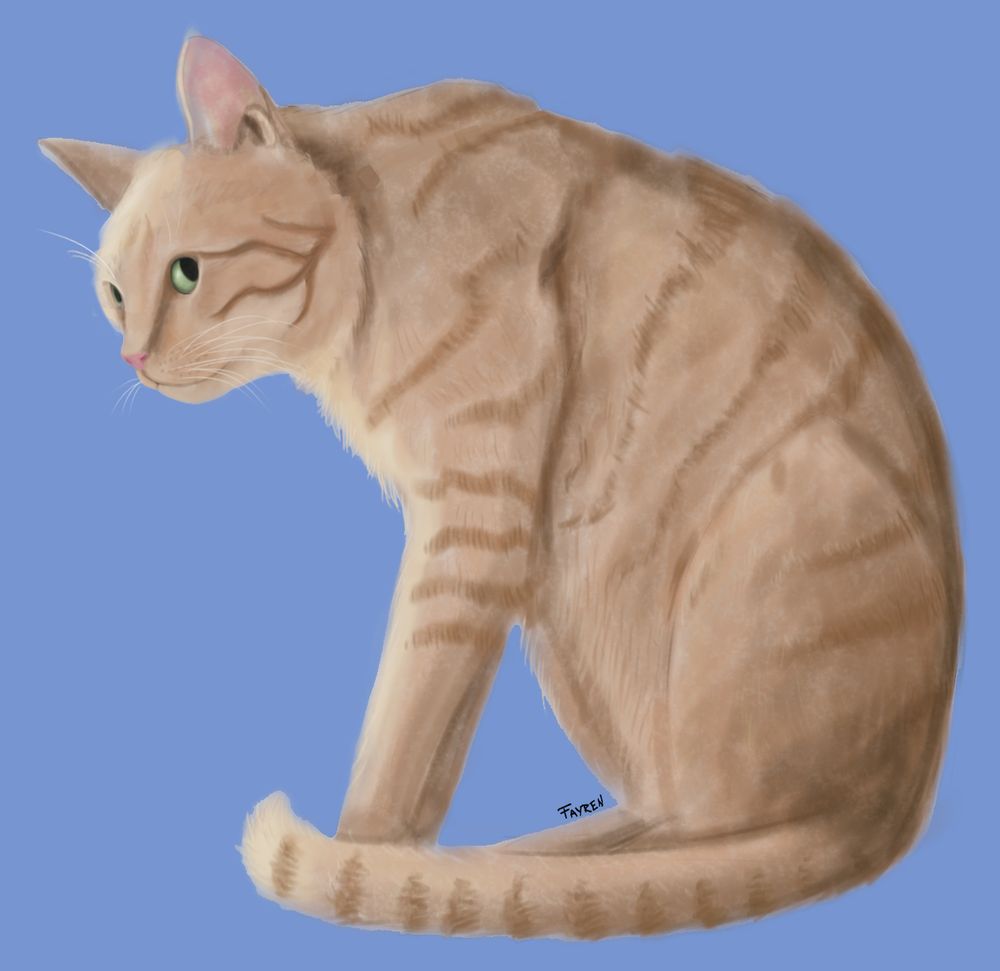 Digital drawing of an orange cat staring half-hunched at something beyond the image with wide eyes.