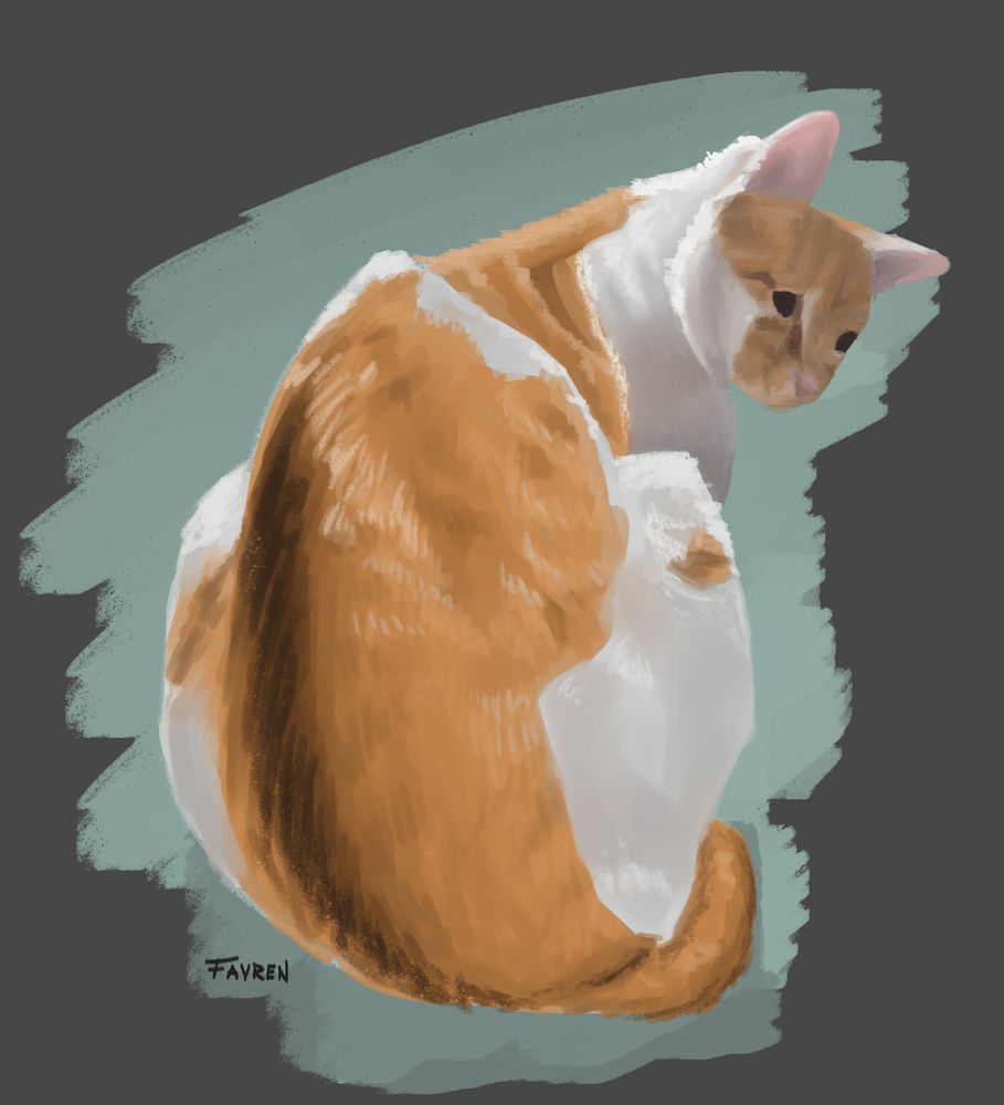 A digital drawing depicting an orange and white cat with his back to the viewer, looking to the side.