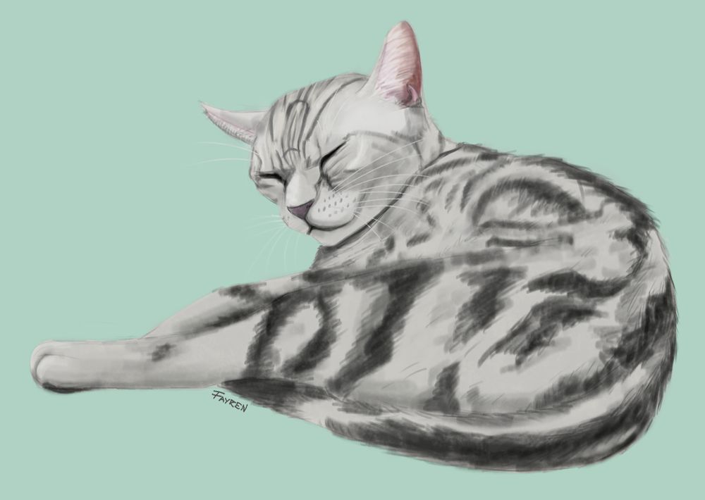 A digital drawing of a grey cat with black swirly patterns. She is sleeping, curled with her head up.