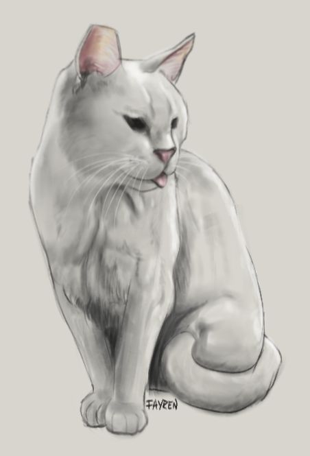 White cat named Friend is sitting, blepping and staring off towards the viewer's right side.