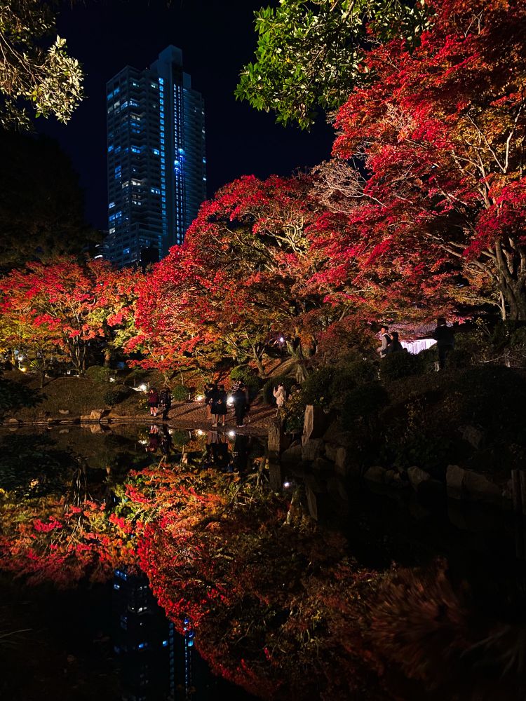 Reflected illuminated maple leaves with a spaceship looking building behind it 