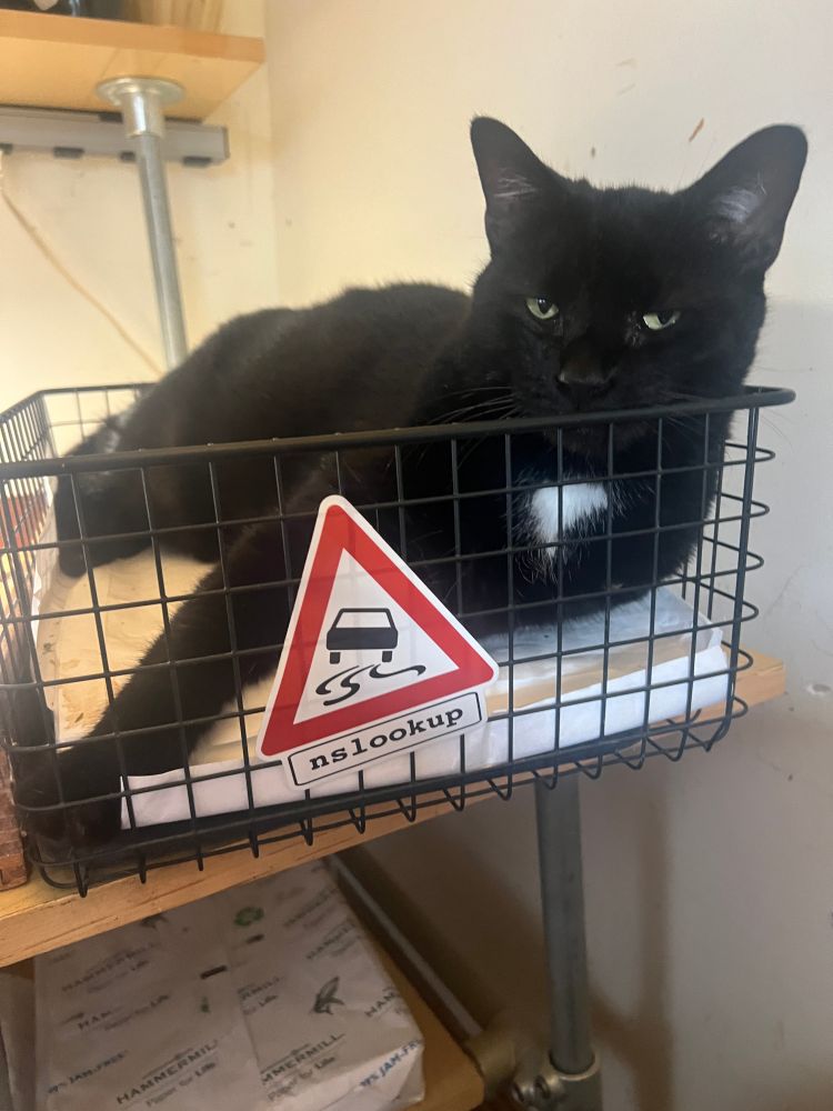 Cat Johnny with a nslookup error