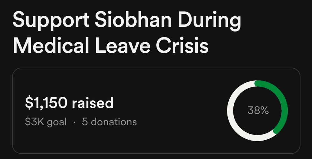 Screenshot showing the fundraiser at 38%, or $1,150, raised 