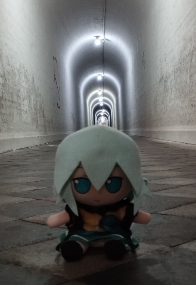 INSIDE A TUNNEL!! 