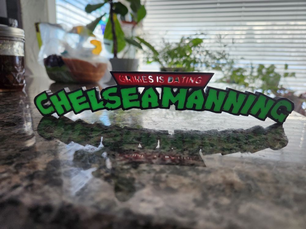 A 3d printed Teenage Mutant Ninja Turtles logo, edited to instead say "Grimes is dating Chelsea Manning"