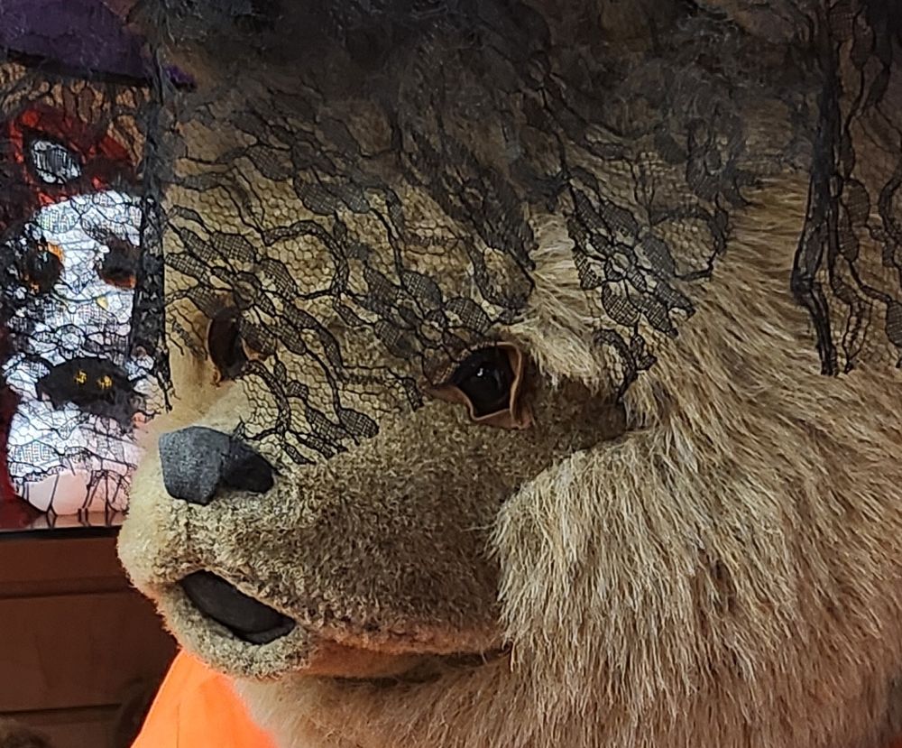 gawrsh (reaction image of silly bear) 
